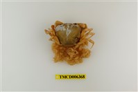 藏品(邱氏澤蟹)的圖片